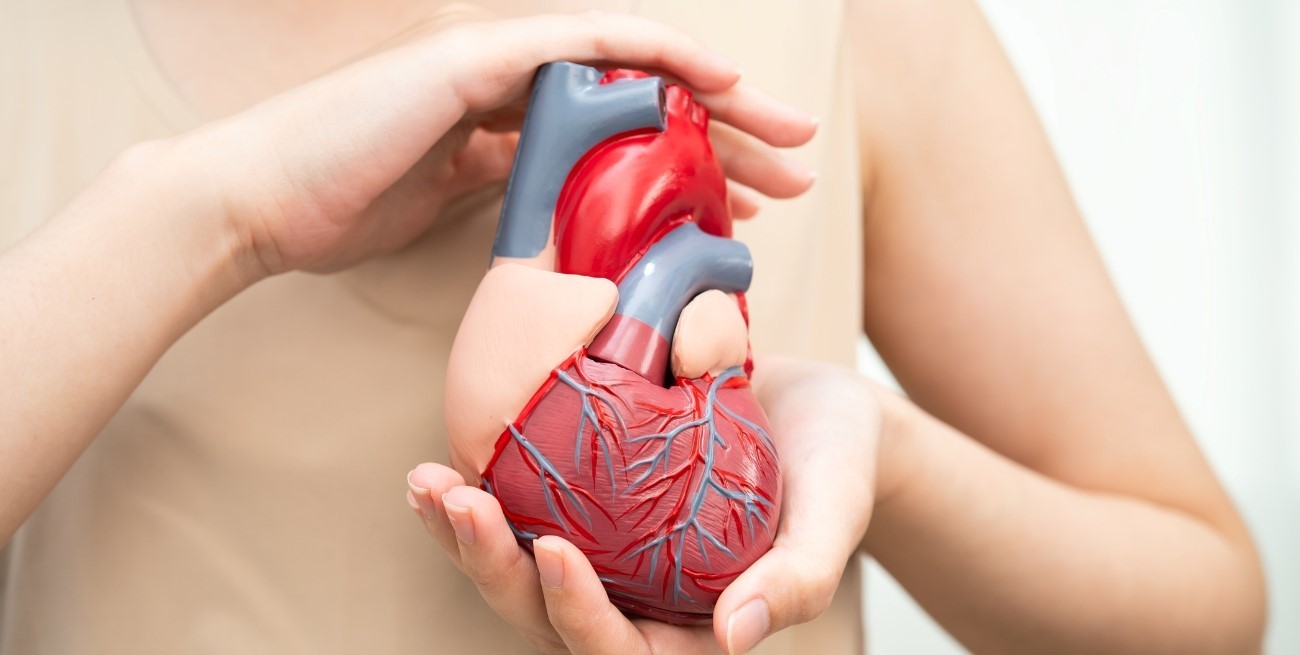 Cardiopatías congénitas: especialistas se reúnen en Santa Fe para debatir avances y desafíos