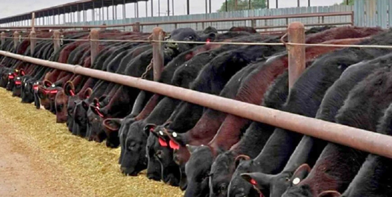 Planteos sobre la carne argentina tensaron las negociaciones con EE.UU.