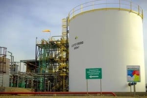 Una medida de la Unión Europea podría cerrar el principal mercado del biodiesel argentino