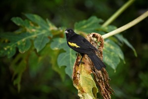 Jardín Florido. Fotorreportaje: Pablo Rodas (gentileza).