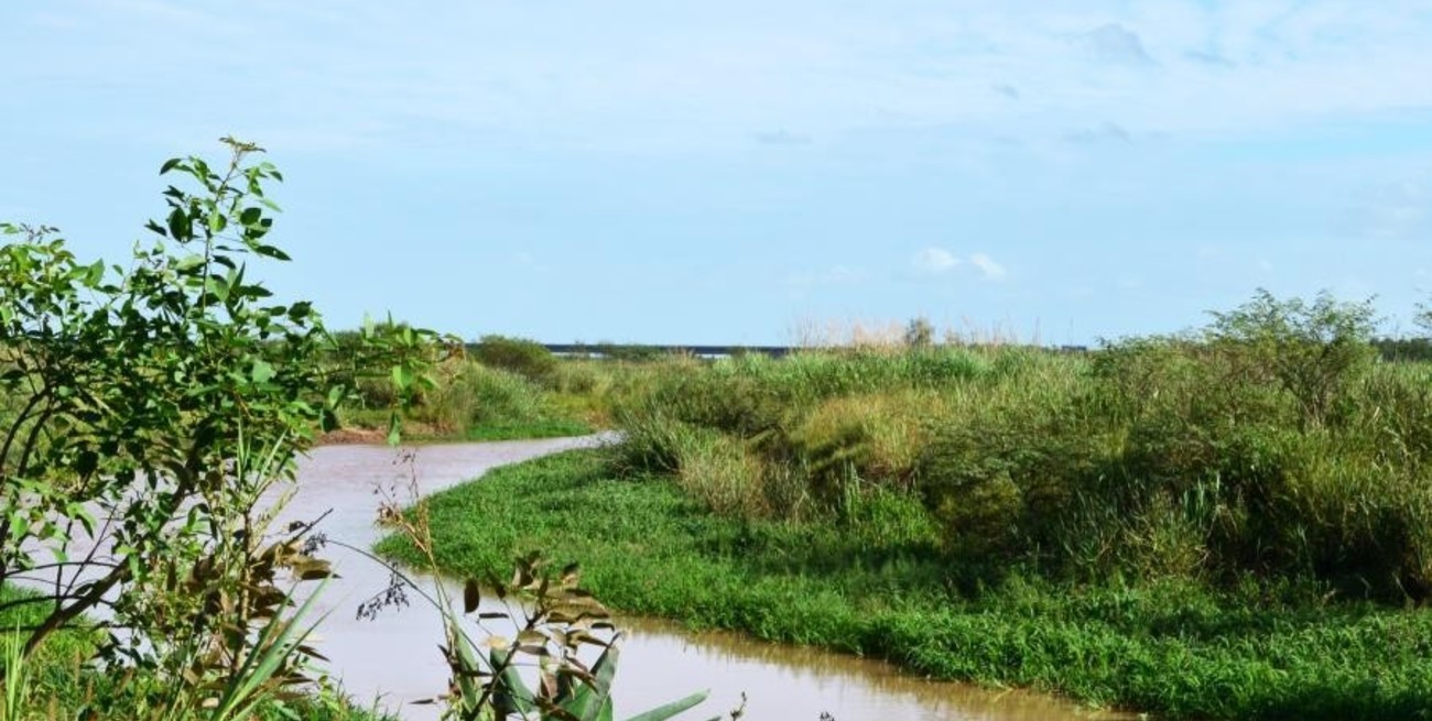 Rosario recupera 800 hectáreas de humedales: la Justicia ordenó desalojar a un empresario que las usurpaba hace 20 años