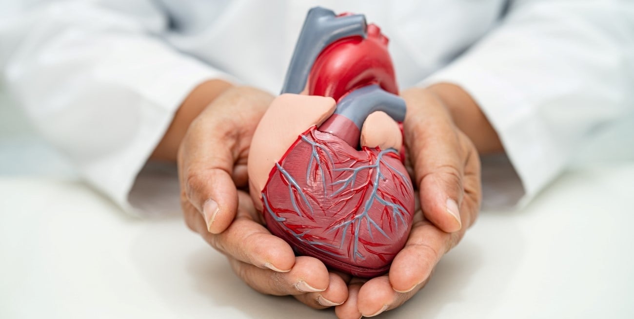 Jornada sobre cardiopatías congénitas: se abordará desde la ciencia y la humanidad