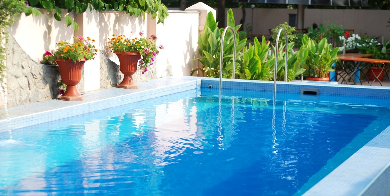 Qué árboles plantar cerca de la pileta para mantenerla limpia 