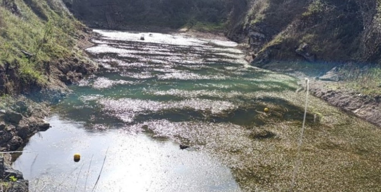 España: reabrieron la investigación por una mujer y su hija desaparecidas hace 38 años