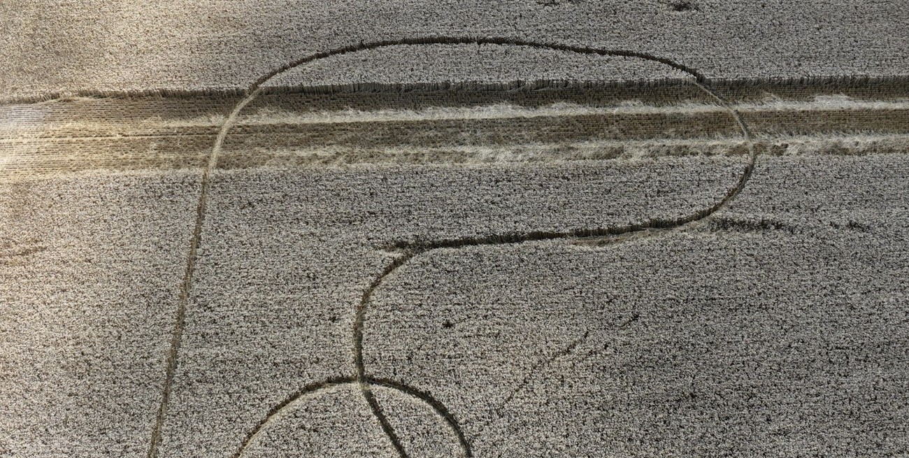 Misterio por la aparición de extrañas figuras en campos sembrados con trigo de Avellaneda