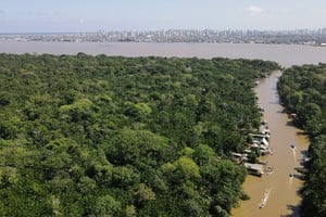 La Amazonía de Brasil tiene una importancia vital en el cambio climático y el calentamiento global.