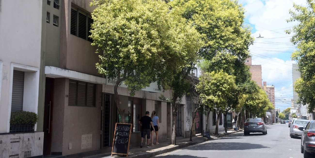 Violeta Quiroz: “El arbolado público no puede seguir siendo responsabilidad del vecino”