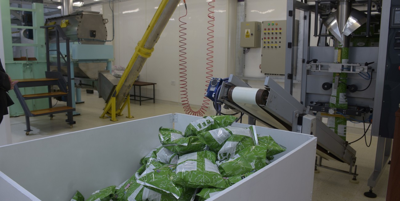 Argentina es uno de los países del mundo que más se desindustrializó en los últimos 50 años