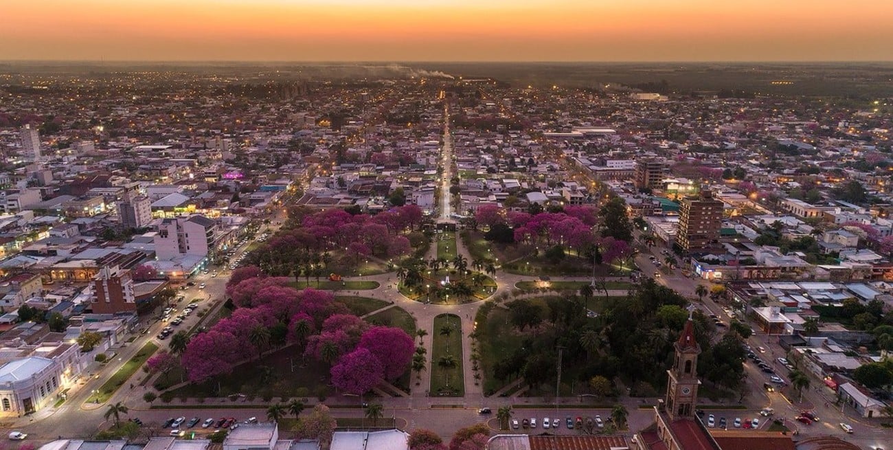 Media sanción para plantar un millón de árboles en la provincia de Santa Fe