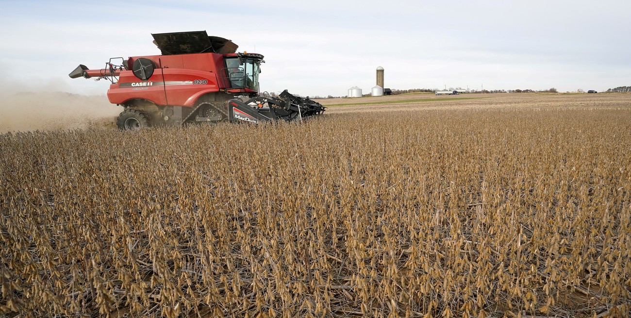 Panorama del financiamiento agrícola: cómo cerró la campaña 2024/25