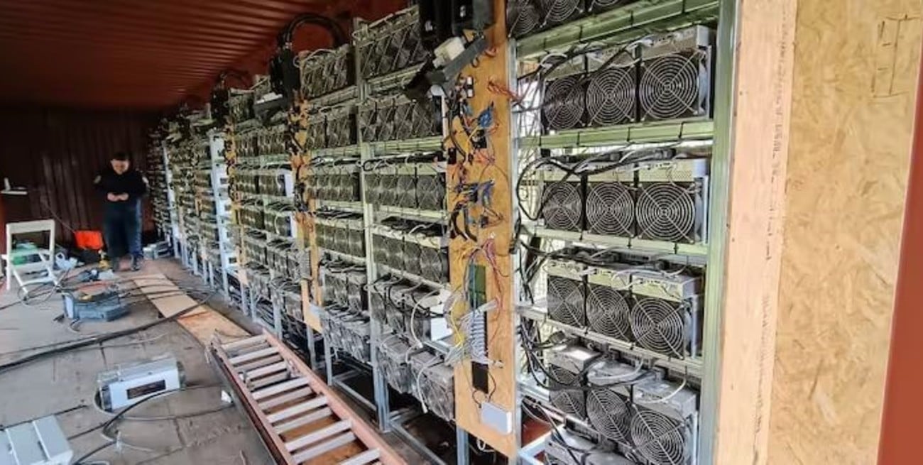 Desbaratan una granja cripto camuflada como criadero de pollos en el conurbano bonaerense