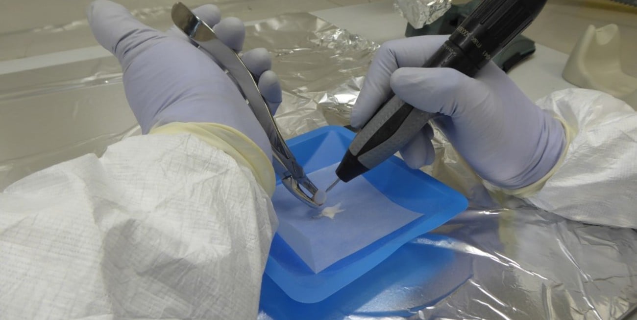 Descubren un linaje genético único en el centro de Argentina con más de 8 mil años de antigüedad