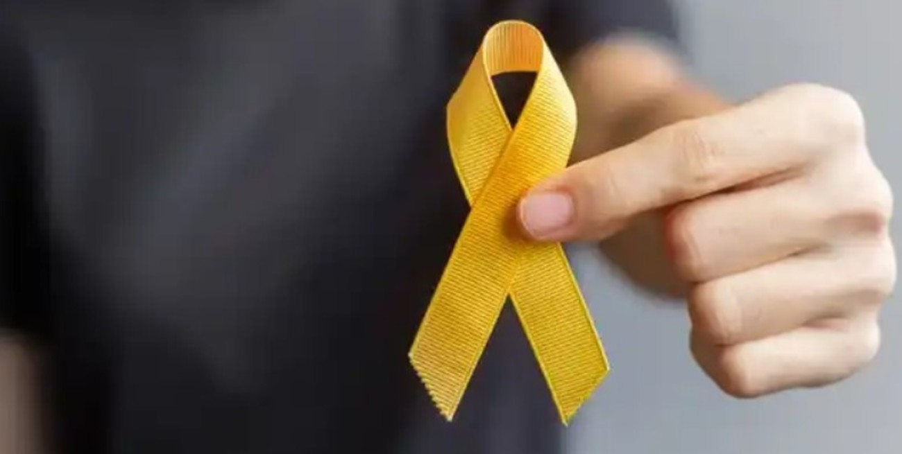 Apoyo unánime en Venado Tuerto a la Ley de Prevención Integral del Suicidio Juvenil