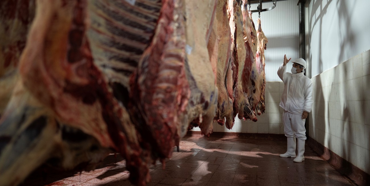 La política global mueve el tablero: Argentina exporta menos carne, pero ingresa más dólares