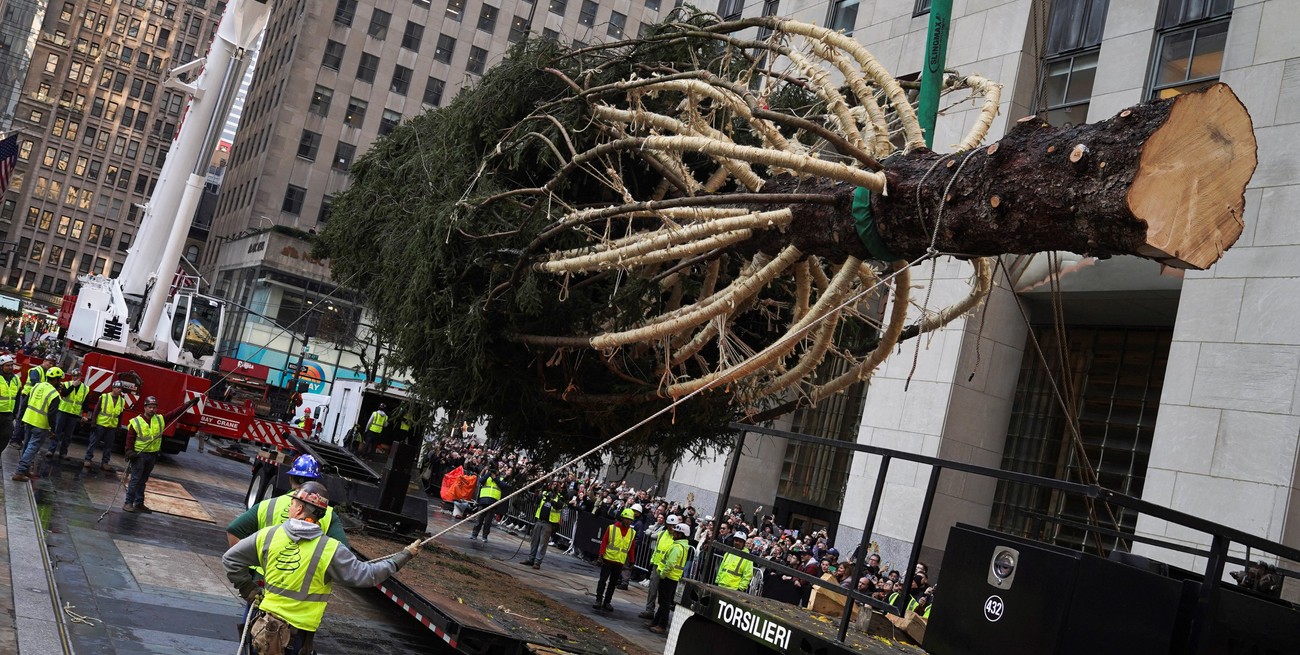 Llegó el árbol de navidad del Rockefeller Center a Nueva York