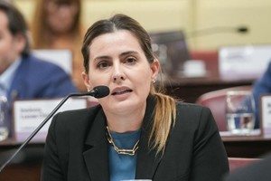 La diputada provincial de Santa Fe, Lionella Cattalini.