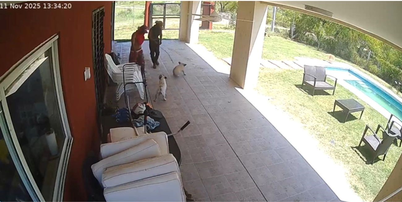 Ladrones entran a una casa, golpean a los perros y huyen con máquinas