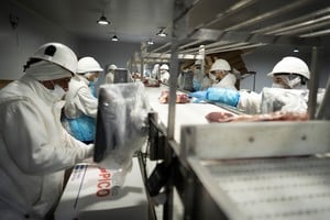 Estrictas medidas sanitarias requiere el proceso de exportación. (Xinhua/Martín Zabala)