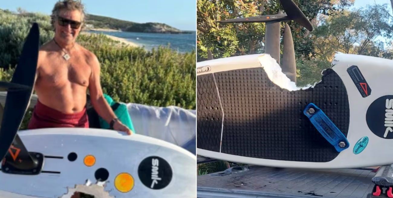 Video: el impactante momento en que un windsurfista peleó con un tiburón blanco y sobrevivió