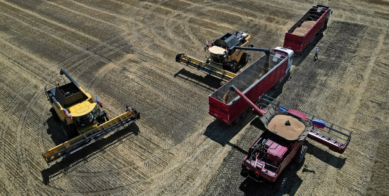 La Cámara Arbitral de Cereales de Rosario difundió los primeros datos de calidad del trigo 2025/26