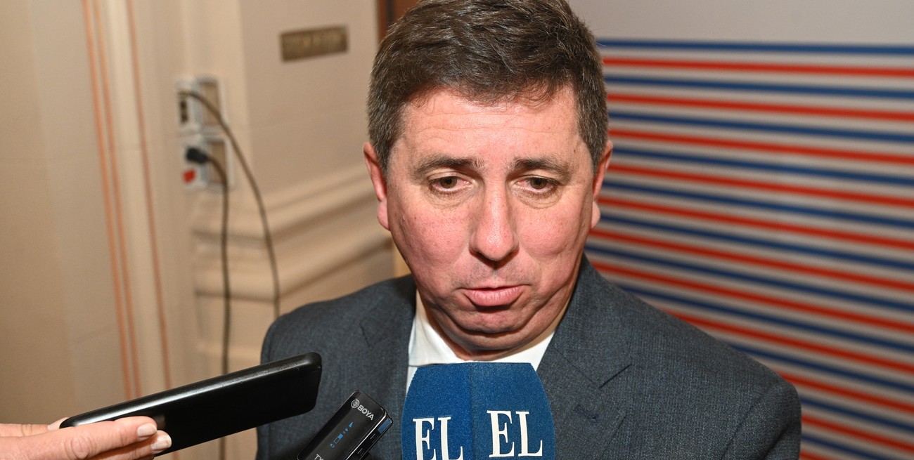 Pirola busca derogar una delegación de facultades sobre la edad jubilatoria