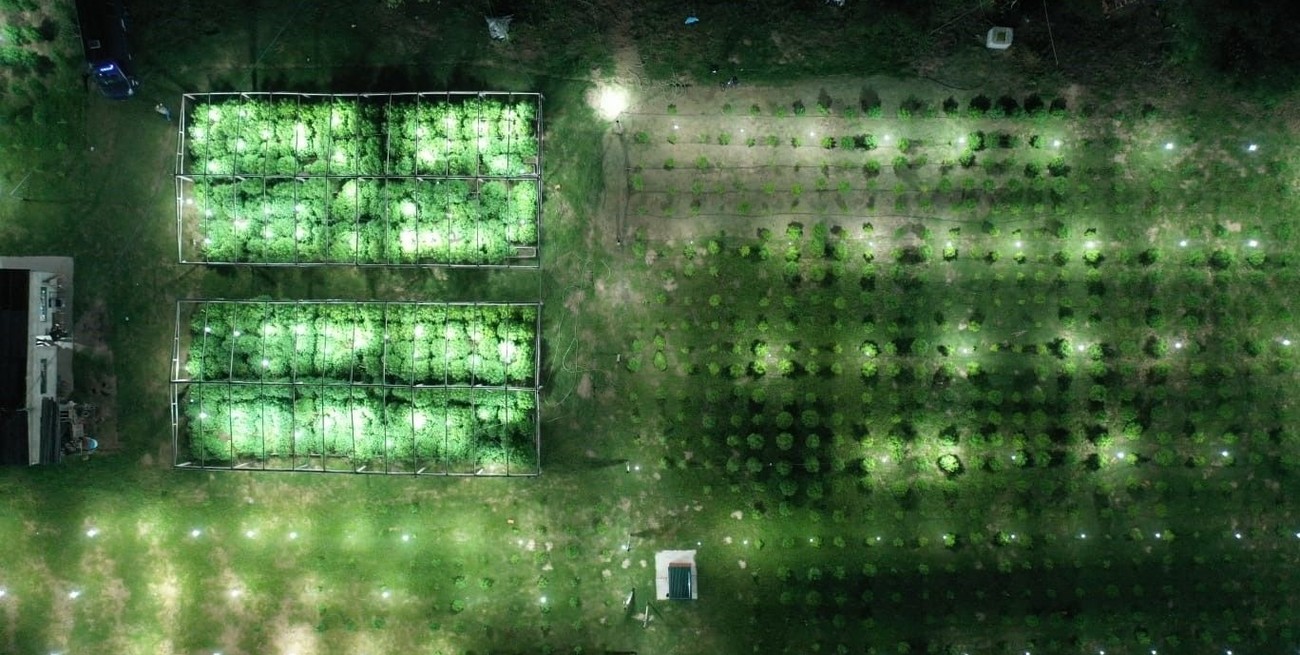 El tío de un condenado por el vivero narco de Arroyo Leyes reclamó la devolución de una camioneta