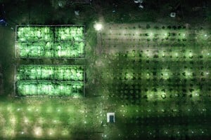 La investigación se remonta a los allanamientos del 13 y 14 de febrero de 2024. Foto: Archivo