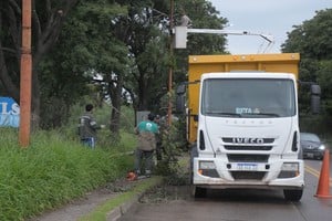 Poda de árboles en la zona del Puente Carretero.