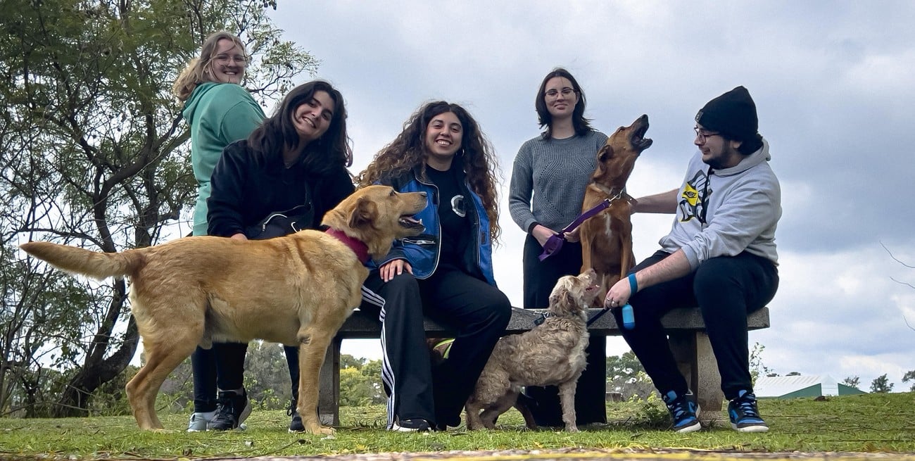 Superamigos: ya son más de 100 los voluntarios que pasean perros para mejorar sus adopciones