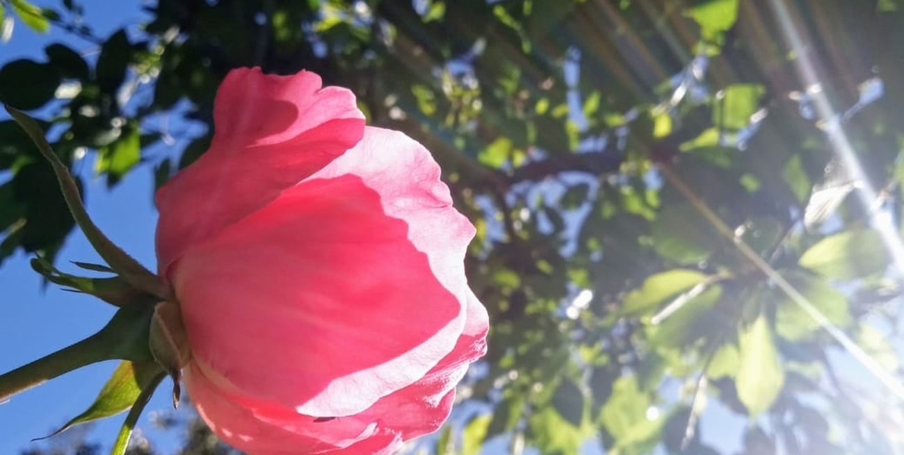 Me acorralan las palabras