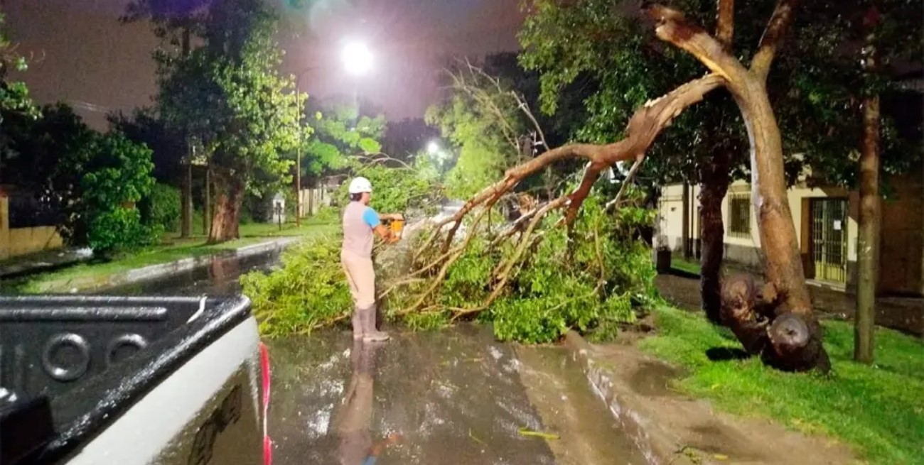 Complicaciones por la lluvia en Paraná: anegamientos, árboles caídos y diversos daños