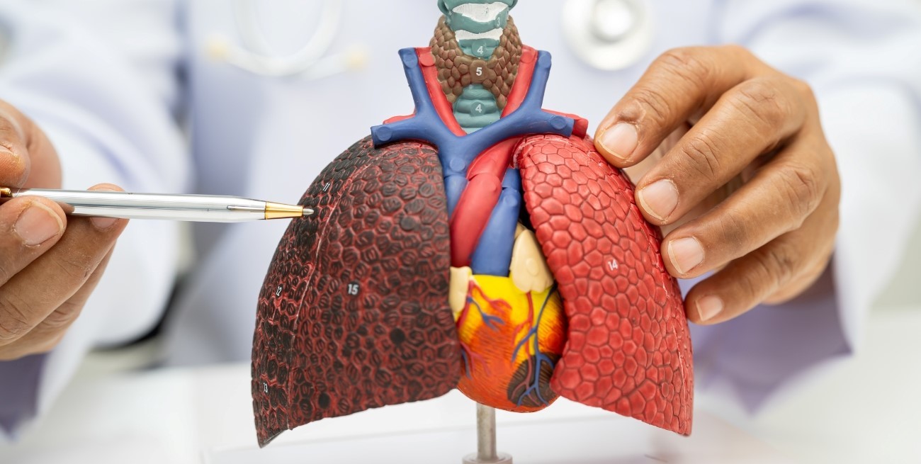 Cáncer de pulmón en Argentina: alta incidencia, factores de riesgo y por qué la detección temprana puede cambiarlo todo