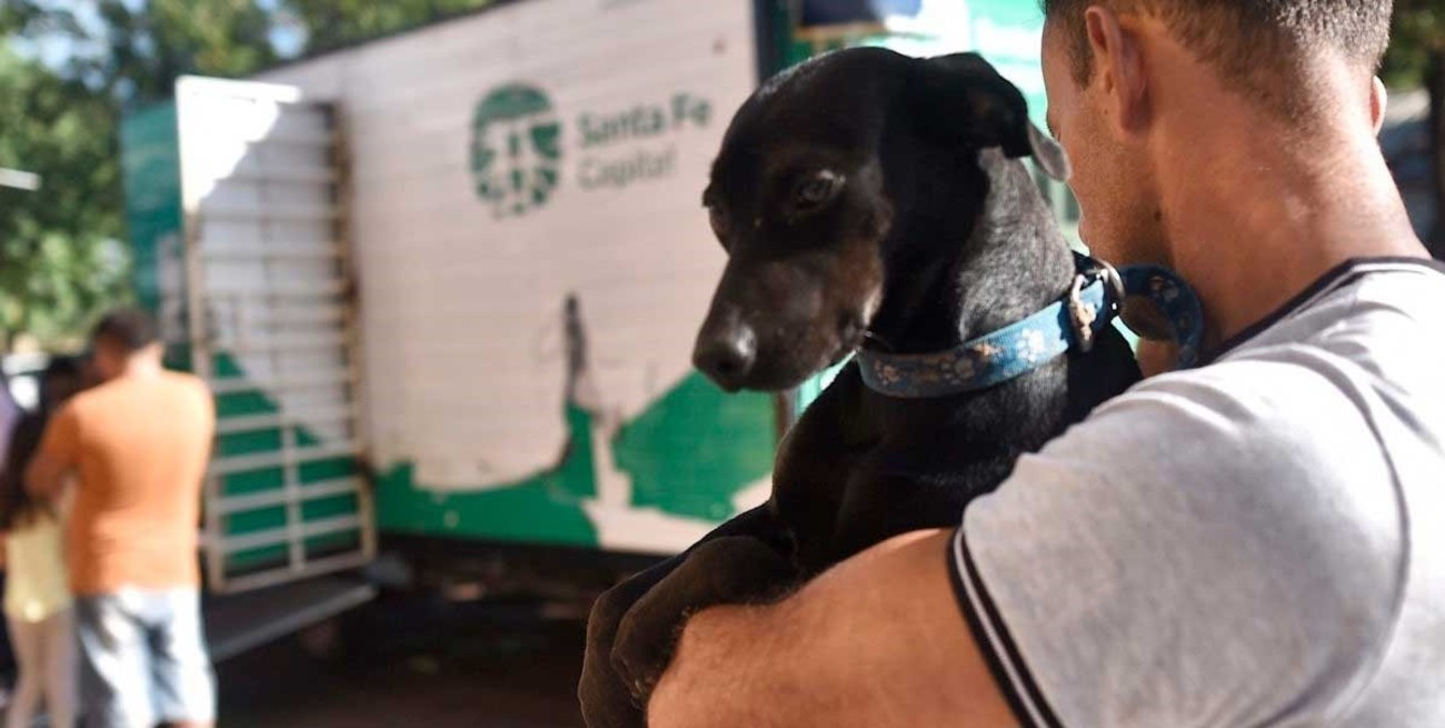 El municipio de Santa Fe no hará un censo ni una guardería para mascotas
