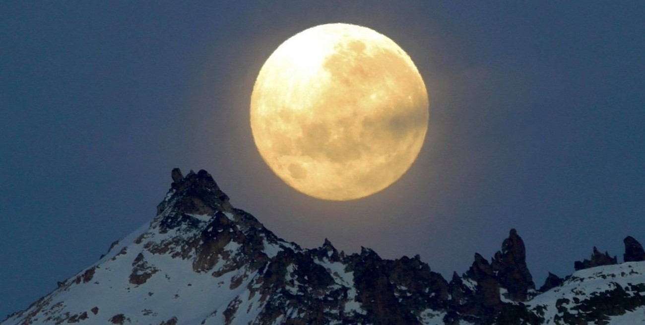 Cita a ciegas con las musas 