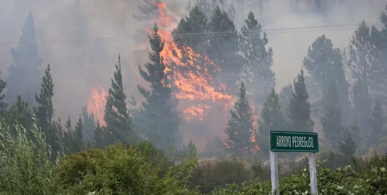 Más de 200 hectáreas quemadas en Epuyén: el fuego habría sido provocado