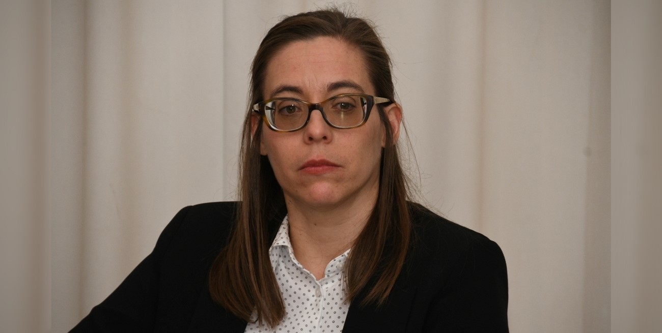 "No va a favorecer el desarrollo provincial, sino que va a generar una competencia más difícil para las empresas santafesinas"