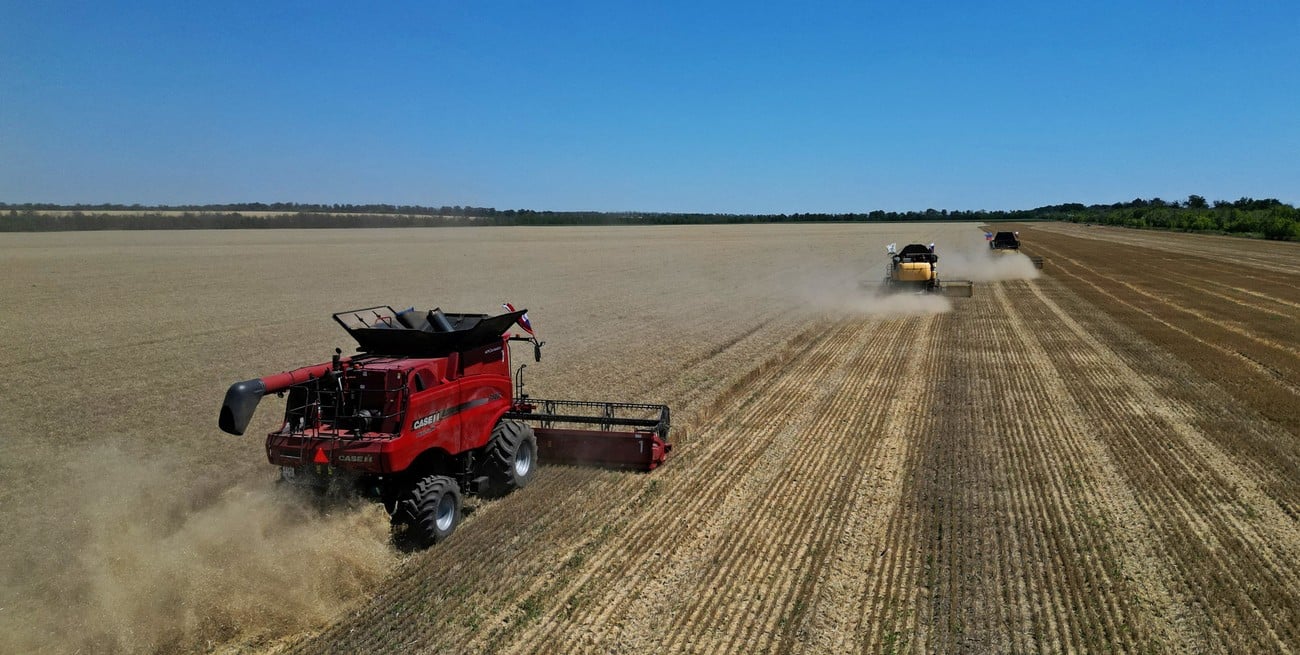 La cosecha de trigo avanza lento por las lluvias, pero mantiene rindes destacados en la región núcleo