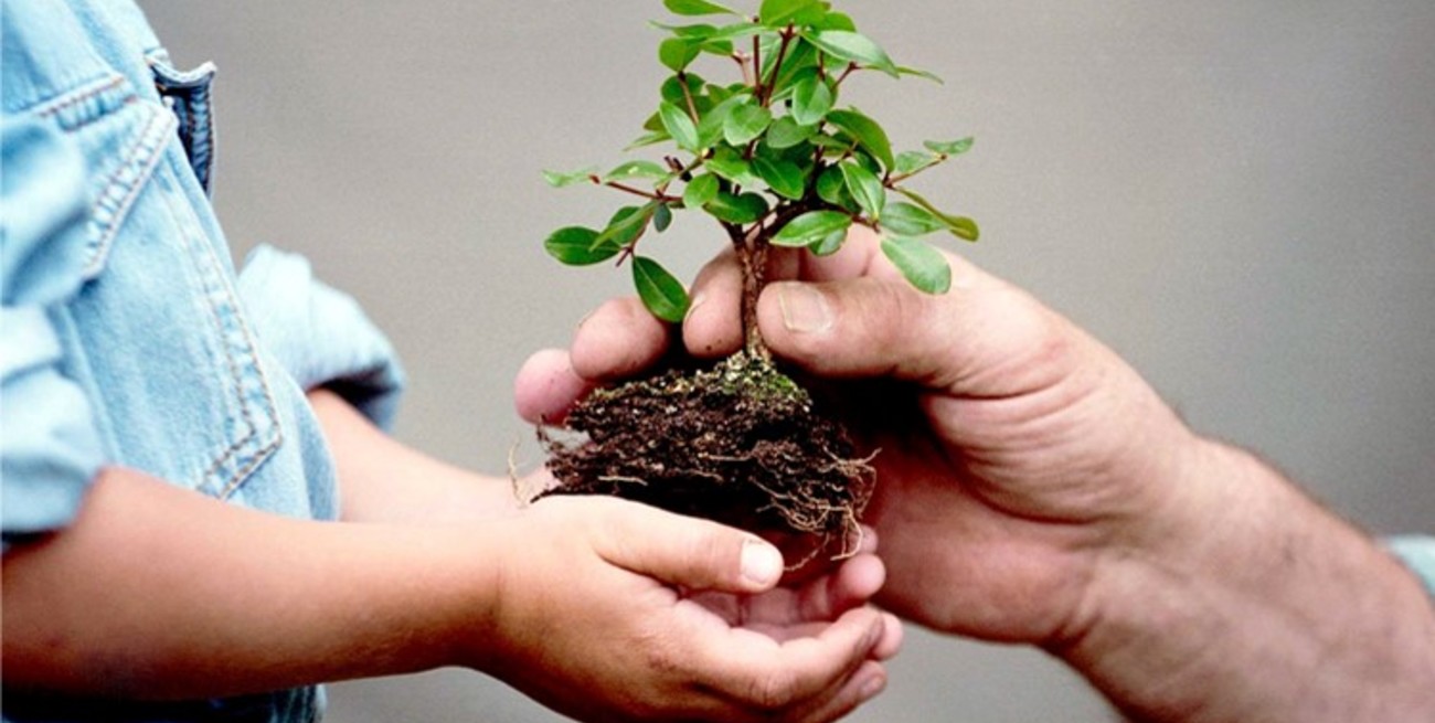 ¿Es la prevención una nueva generación de derechos humanos? (Parte II)