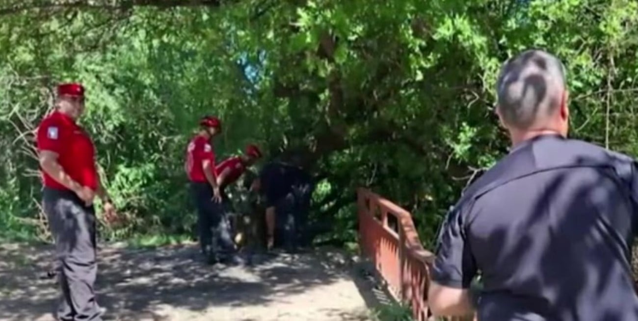 Investigan si nuevas bolsas con restos biológicos pertenecen al cuerpo desmembrado hallado en Córdoba