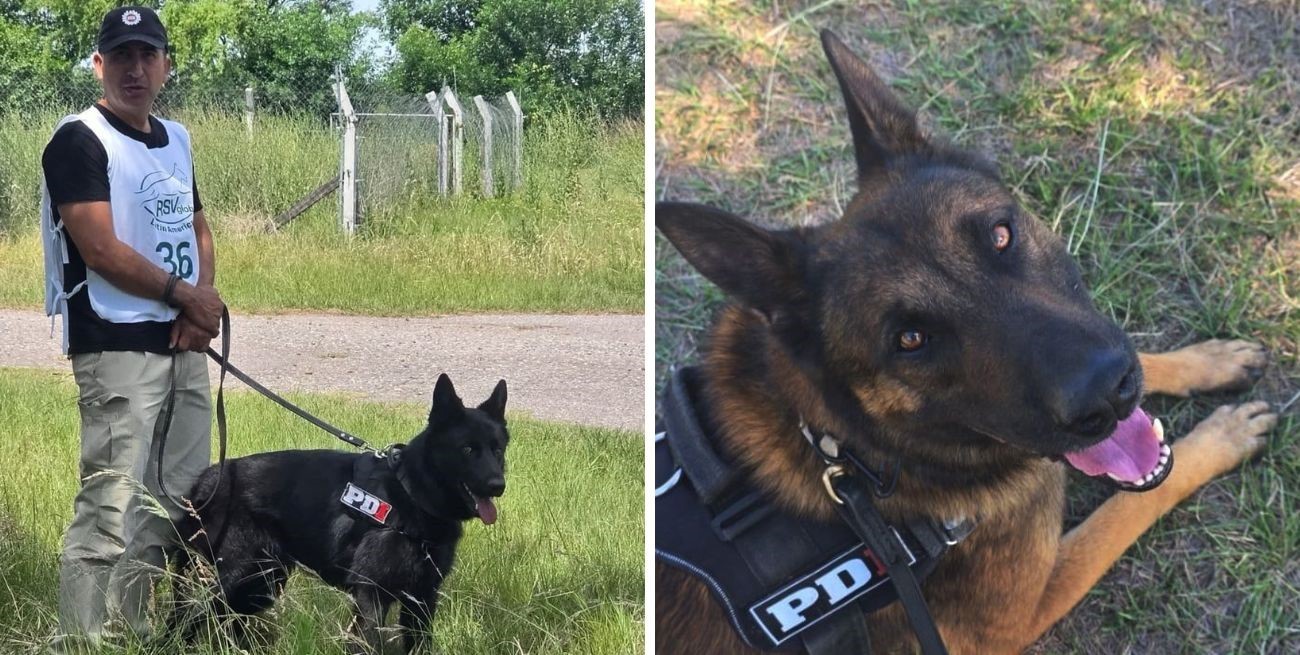 Perros de la PDI se consagraron campeón y subcampeón argentinos en una prestigiosa competencia en Córdoba