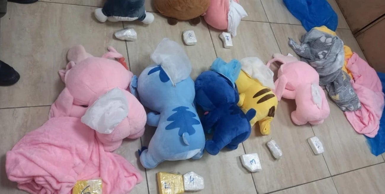 Detectaron peluches rellenos de cocaína en un tour de compras en Tucumán