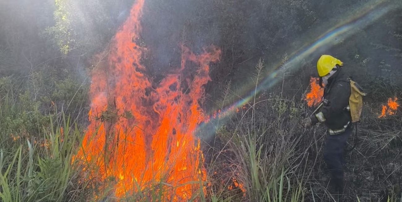 El gobierno de Misiones elevó la alerta por incendios forestales 