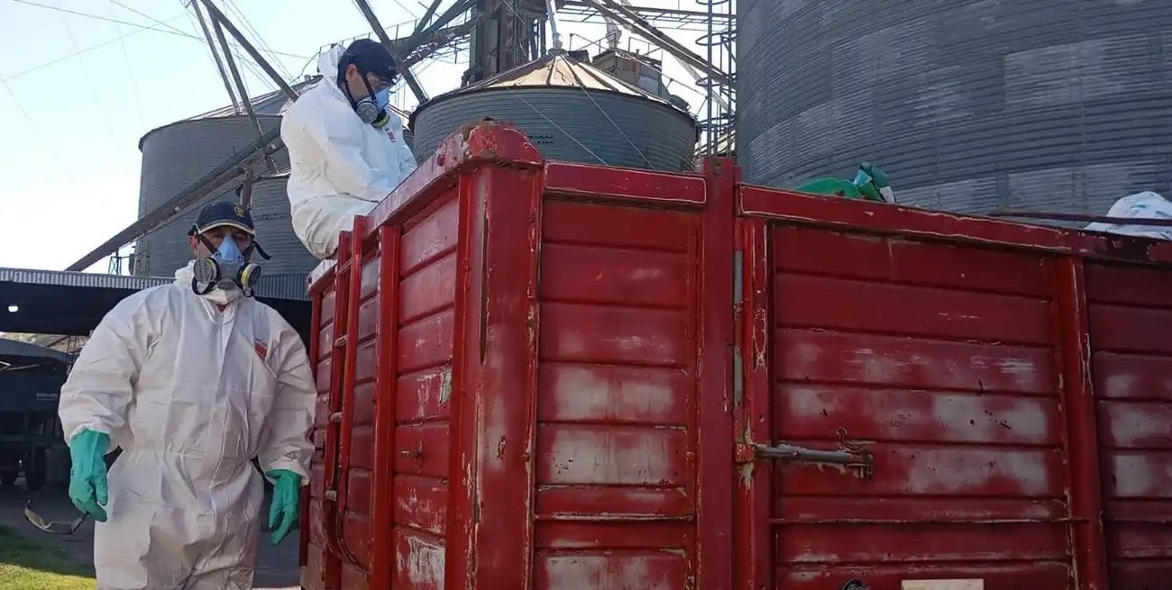 Elortondo: recuperaron más de dos mil kilos de envases vacíos de fitosanitarios