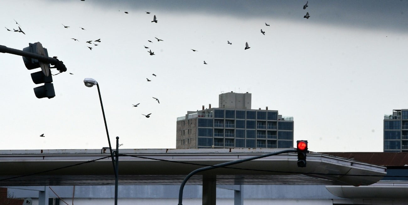 Alerta amarillo por tormentas en Santa Fe y otras 10 provincias de Argentina