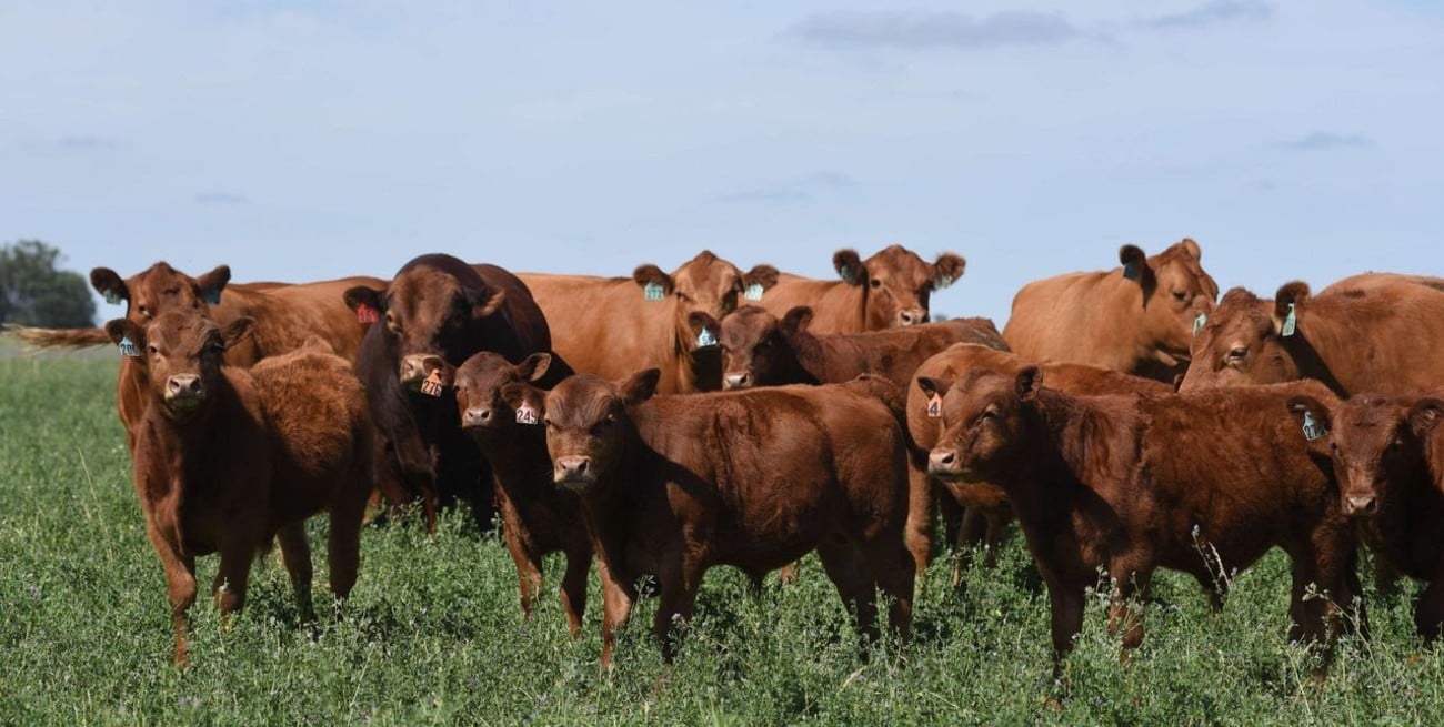 La Sociedad Rural de Santa Fe reafirmó su rechazo al ViSeC y a la normativa ambiental europea