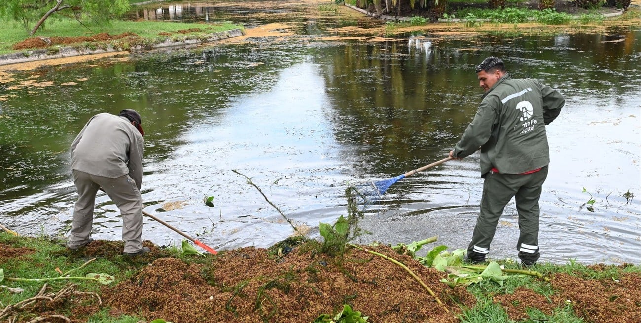 La Municipalidad realiza la limpieza de los lagos del parque Garay