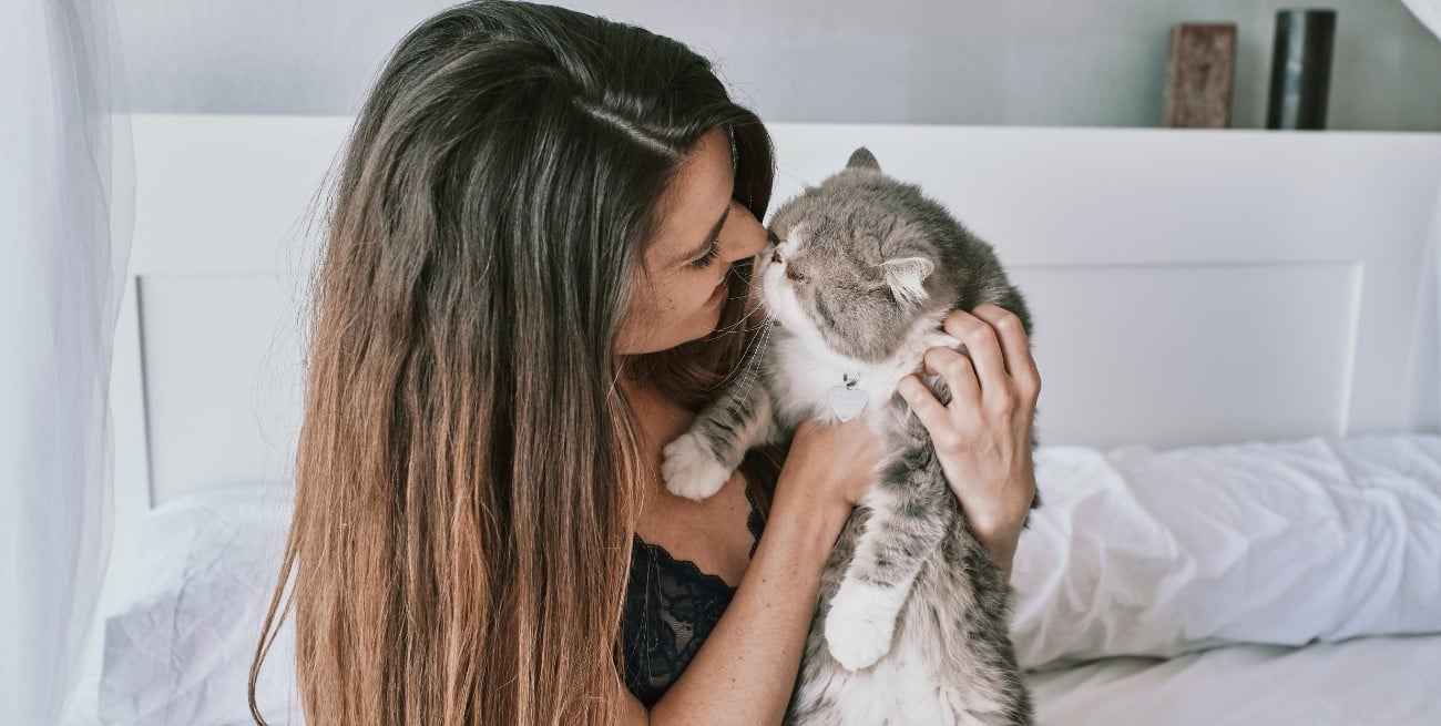 Cinco hábitos que perjudican a tu gato y cómo corregirlos