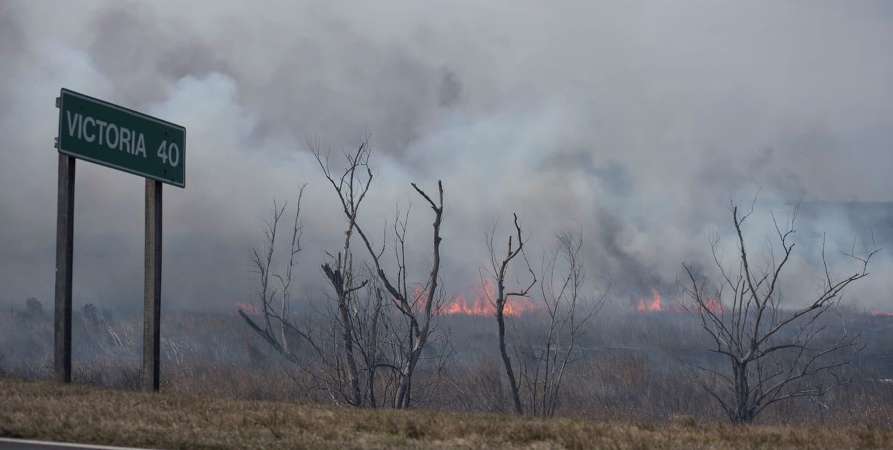 Condenas al Estado por quema de pastizales frente al Delta del Paraná