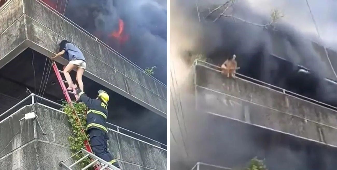 Video: el heroico rescate de una mujer que salvó a sus dos perros durante un incendio