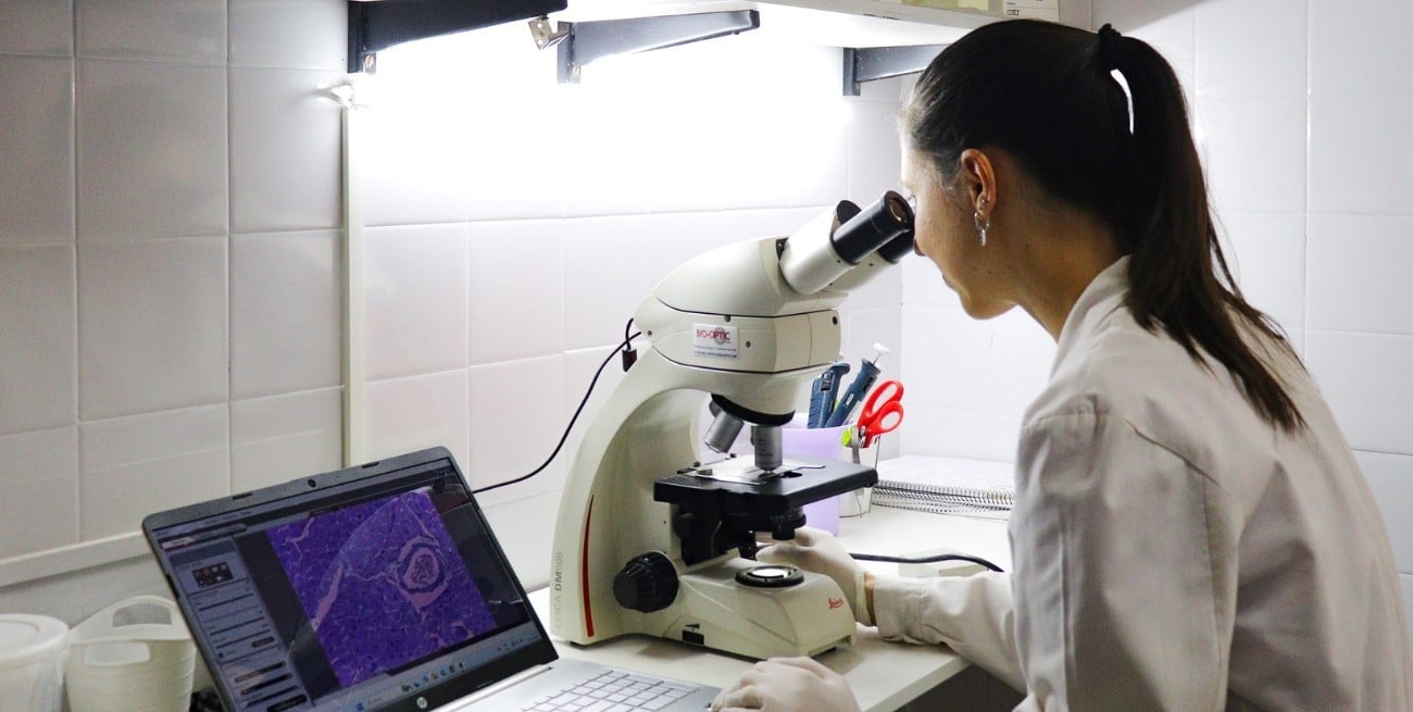 Preocupación de la comunidad científica por la anulación de convocatorias a investigadores